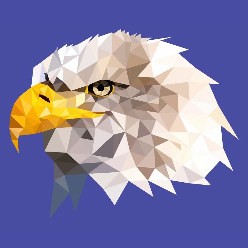 Bald Eagle Sea Eagle American Eagle Eagle