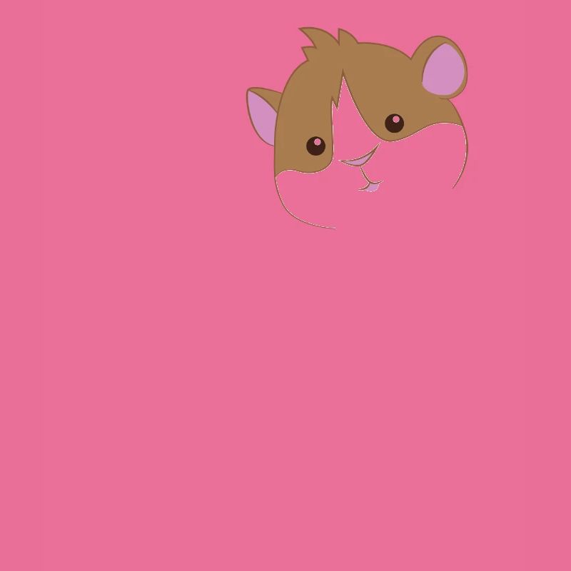 Cochon d'Inde - Cochon d'Inde - Amour