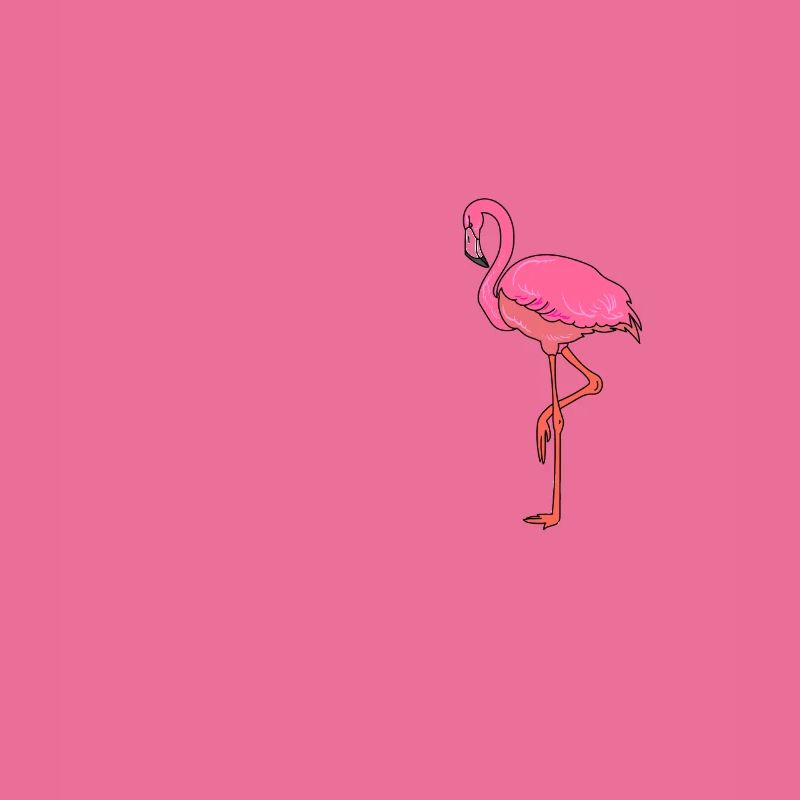 funny flamingo