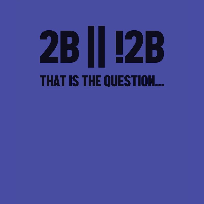 2B or not 2B Question Softwareingenieur Coder