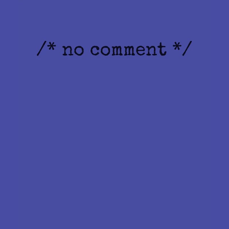 No Comment Developer Softwareentwickler Coder