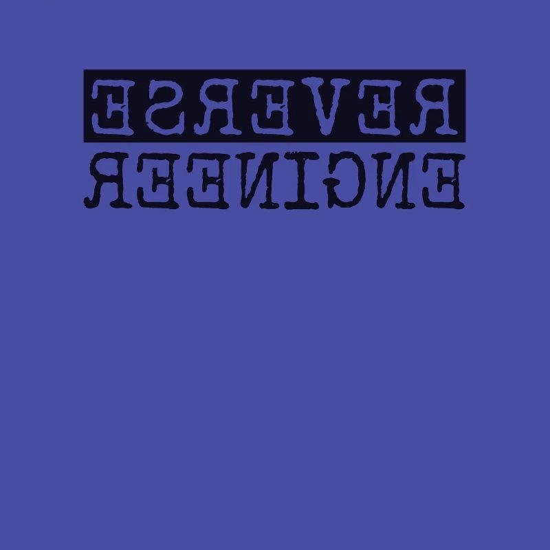 Reverse Engineer Softwareingenieur Developer