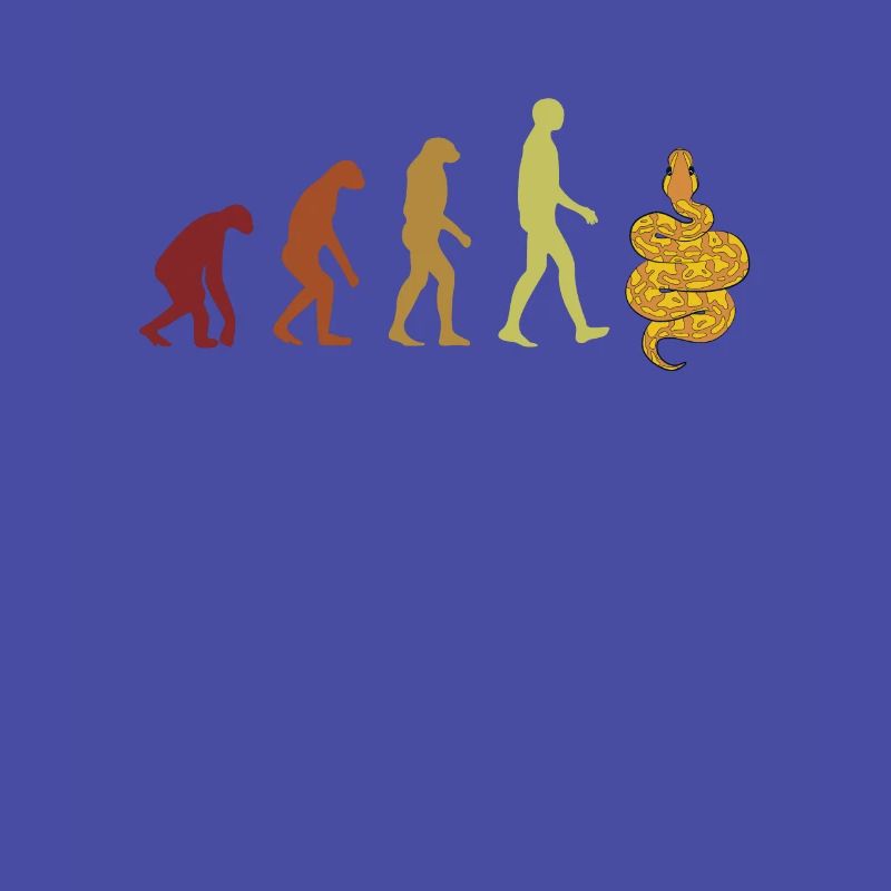 Banana Ball Python Evolution Python Banana Ball