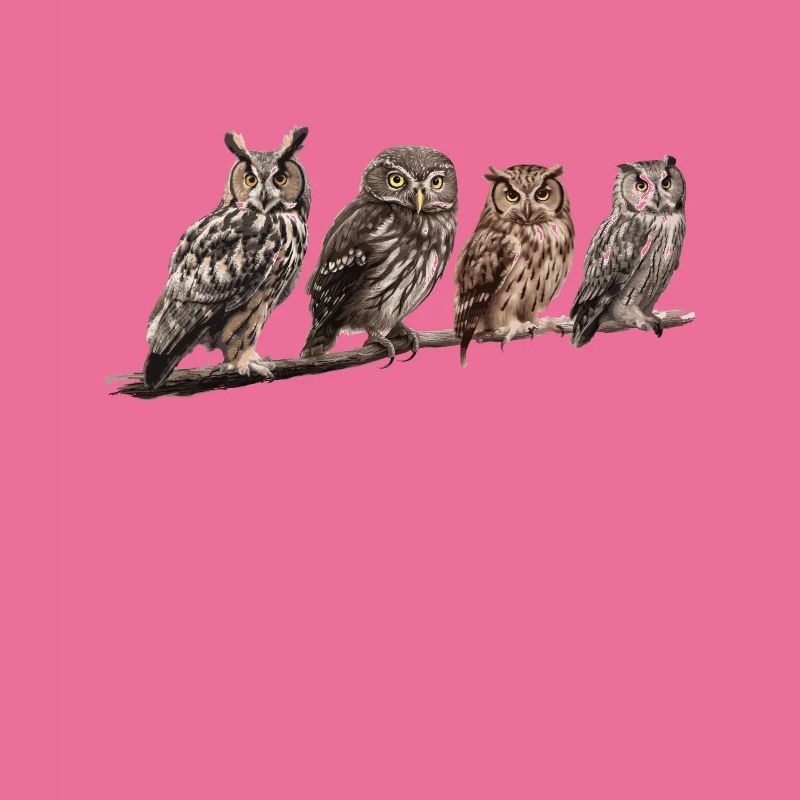 Nachteule Eule Eulen Vogel