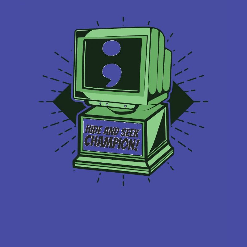 Hide And Seek Champion Softwareingenieur Coder