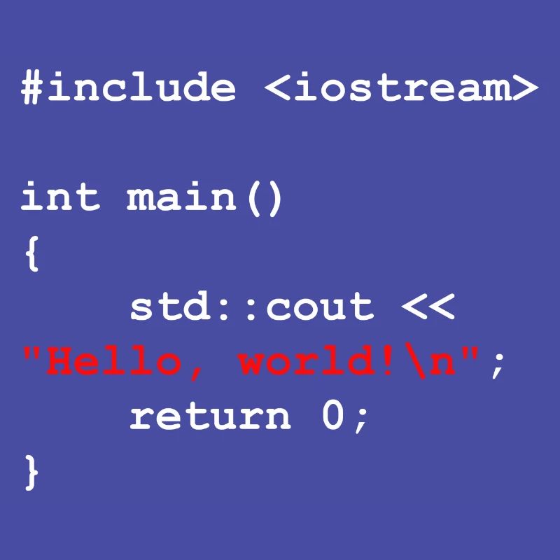 Programmer Coder Software Developer