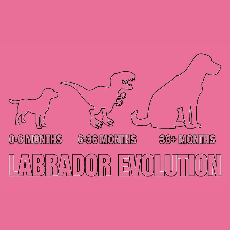 Labrador Evolution