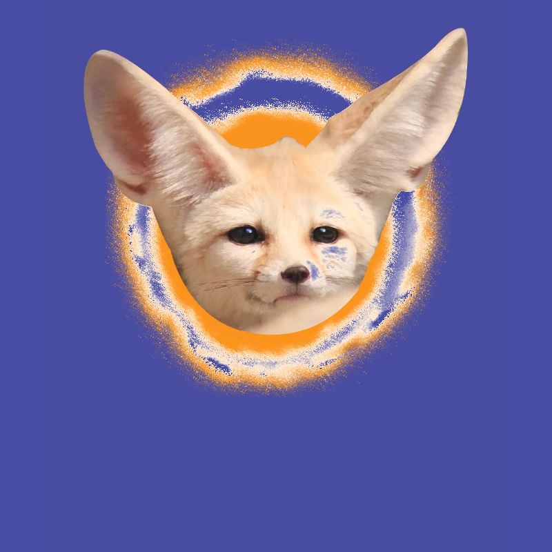 Fennek desert fox fox fox gift