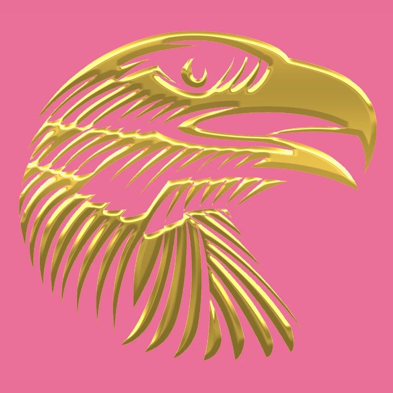 Eagles Eagle Eagle bird falcon hawk