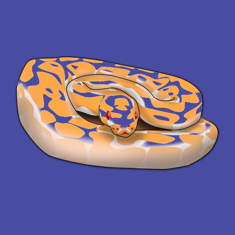 Lavender Albino Ball Python (Python regius) Schla