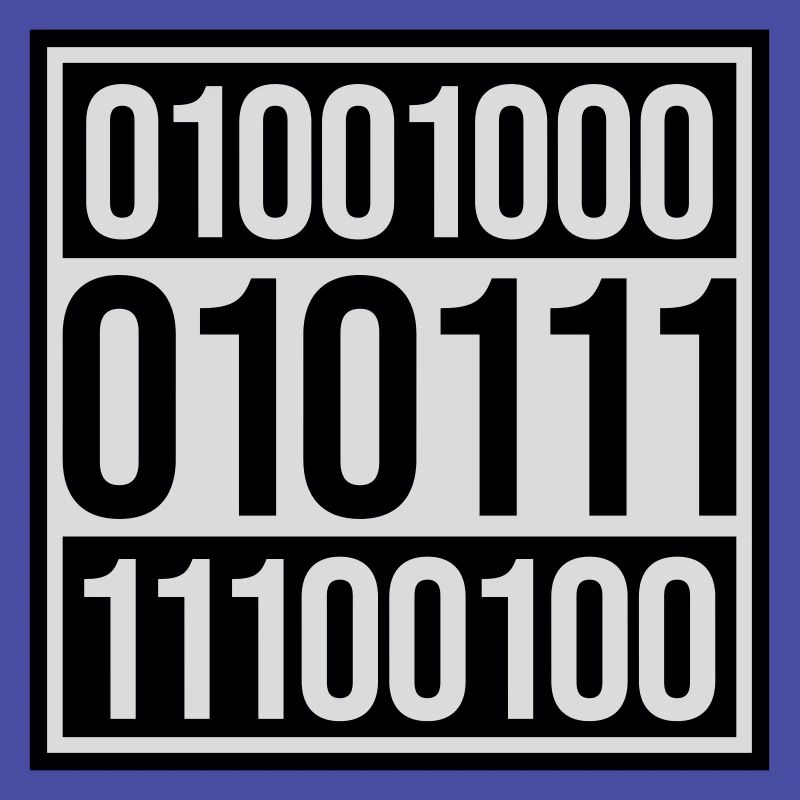 Binary Code Program Language