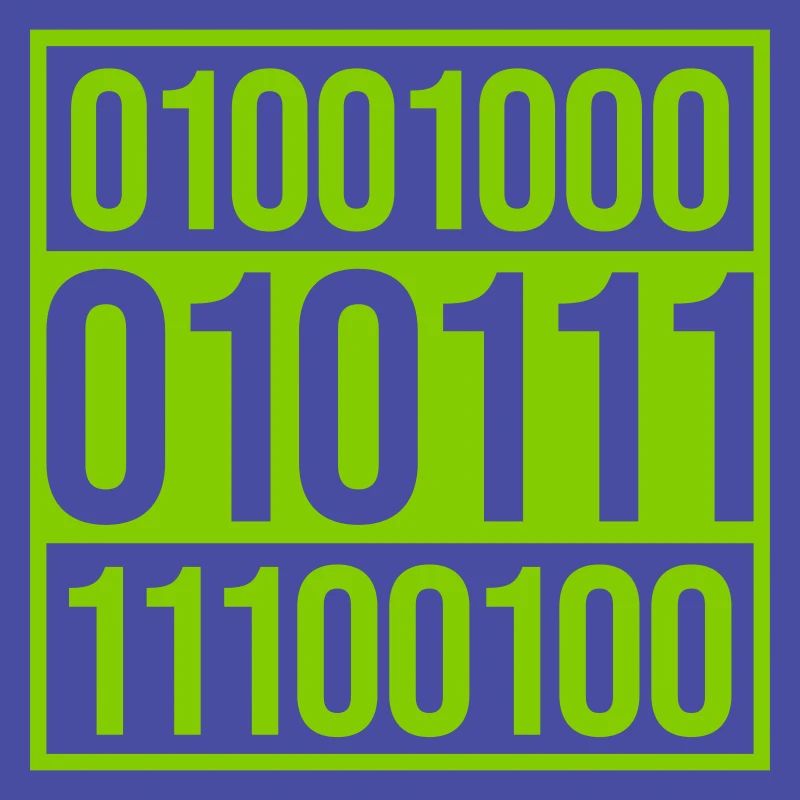 Binär Code Programm Sprache