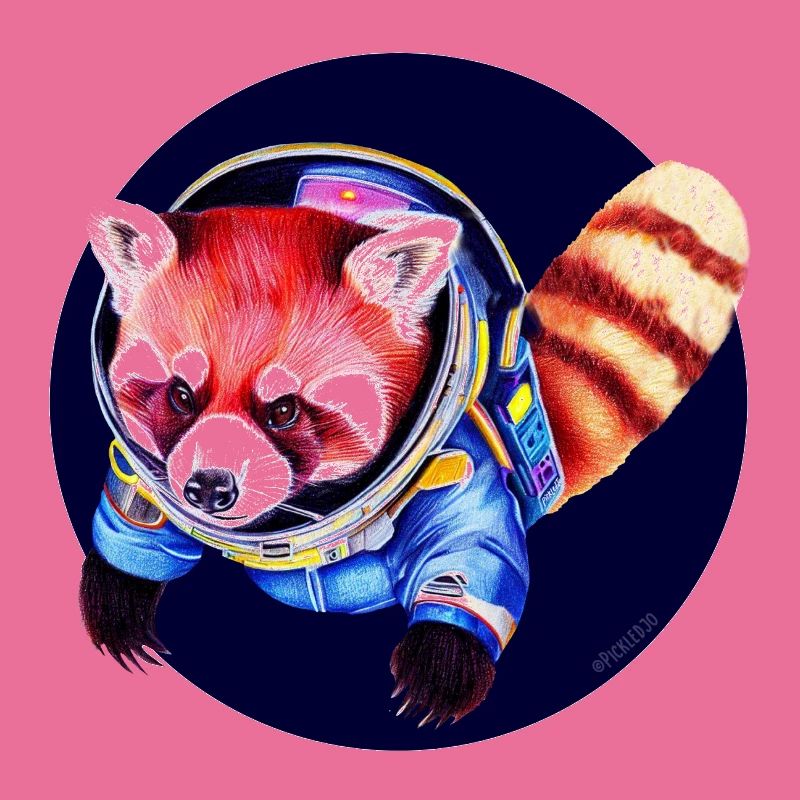 Panda de l’espace