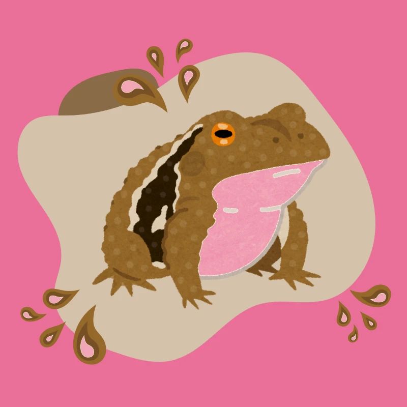 Toad