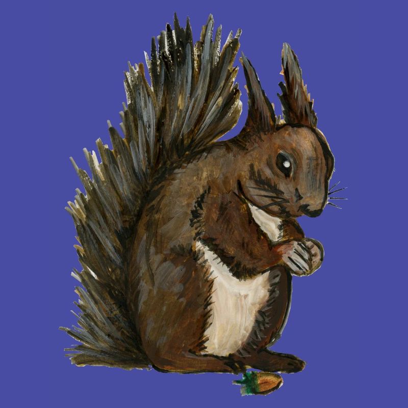 Eichhörnchen Eichhörnchen eichhörnchen esquilo Haselnuss