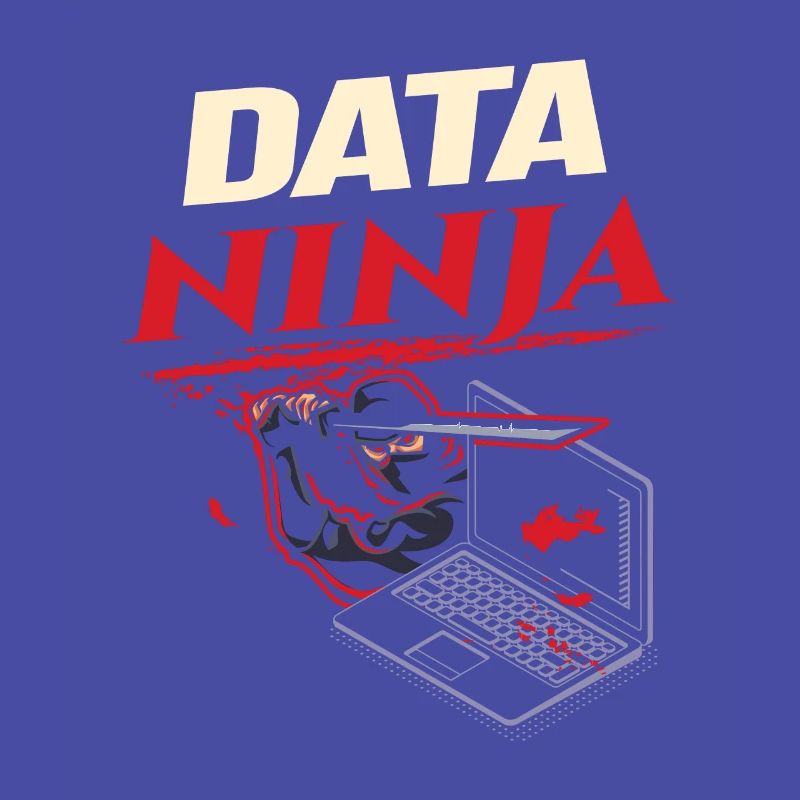 Data Ninja computer programming coder