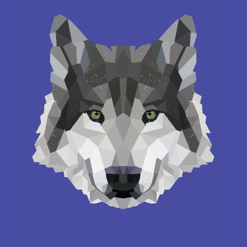 POLYGON WOLF WOLVES HUSKY PACK DOG PACK PACK