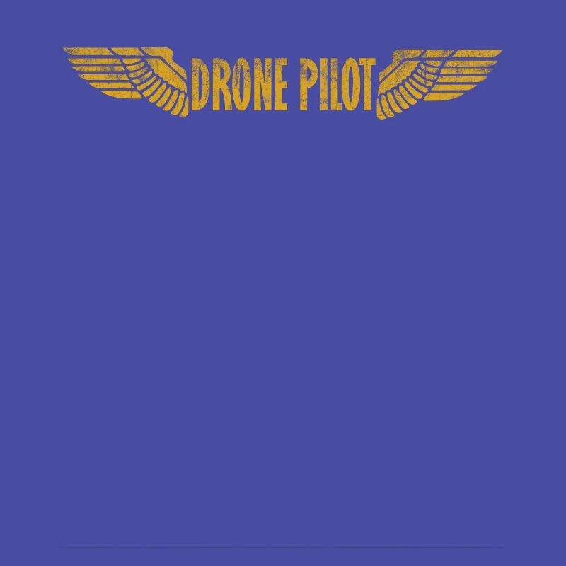 Drone Pilot - drone pilot