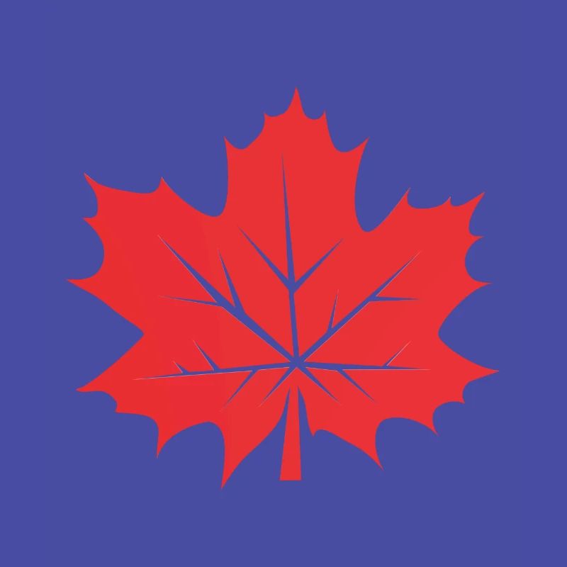 Leaf Maple Leaf Canada Tree