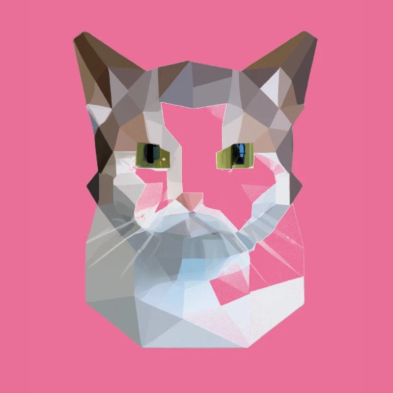 chat mignon bas poly chat blanc gris