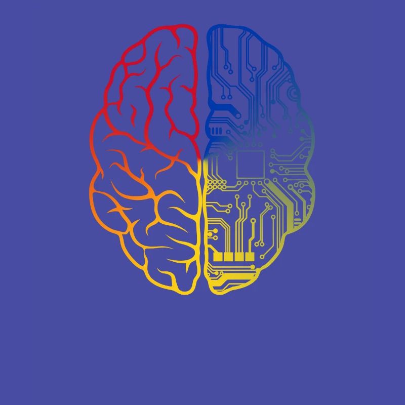 Programmeur HTML - Développeur Programmation Brain Fun