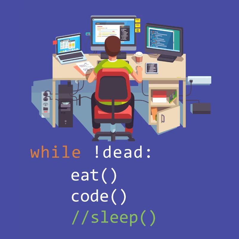 Informatique Python Programmeur Manger Code Sommeil