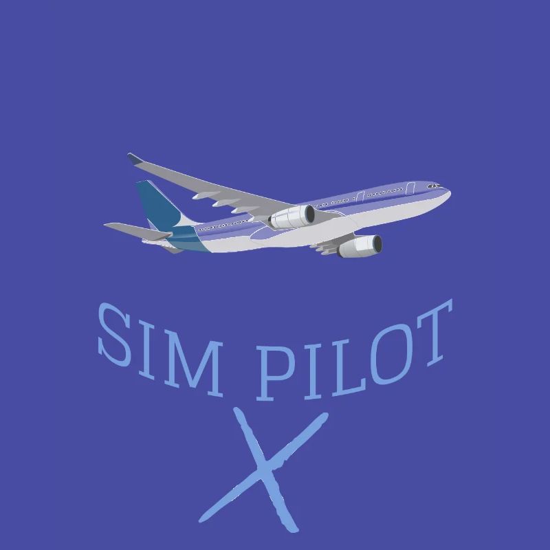 Simulateur de vol Simmer Simulation MSFS Cadeau