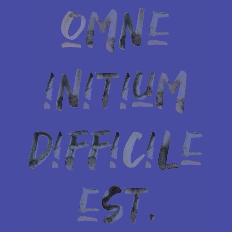 all beginning is difficult Latin quotation scripture