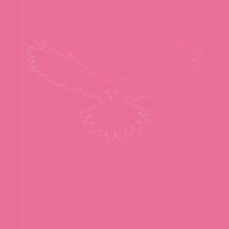 Nachteule Eule Eulen Vogel