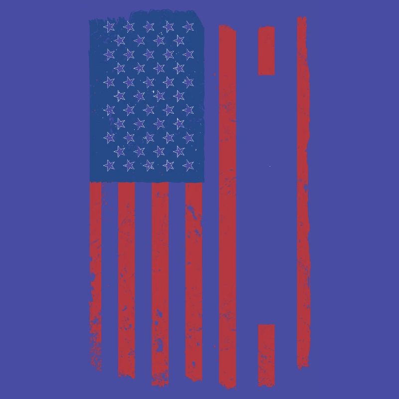 Reader Us Flag Reading