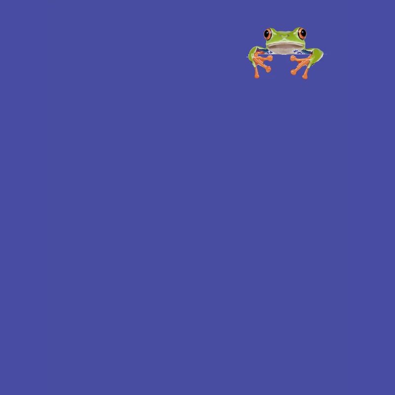 Frog Toad