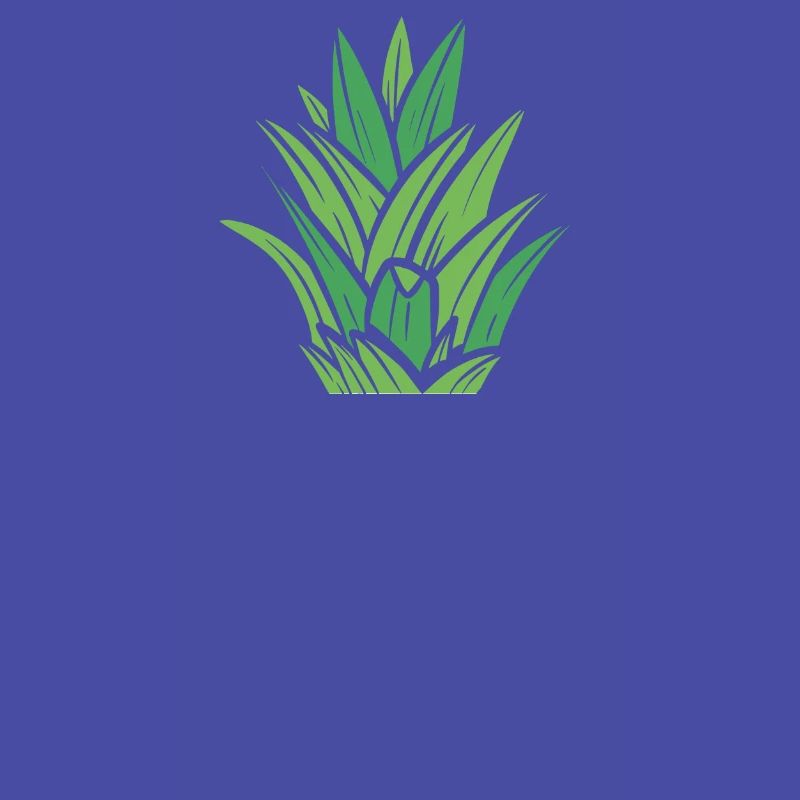 Math Pi-Pineapple Pi