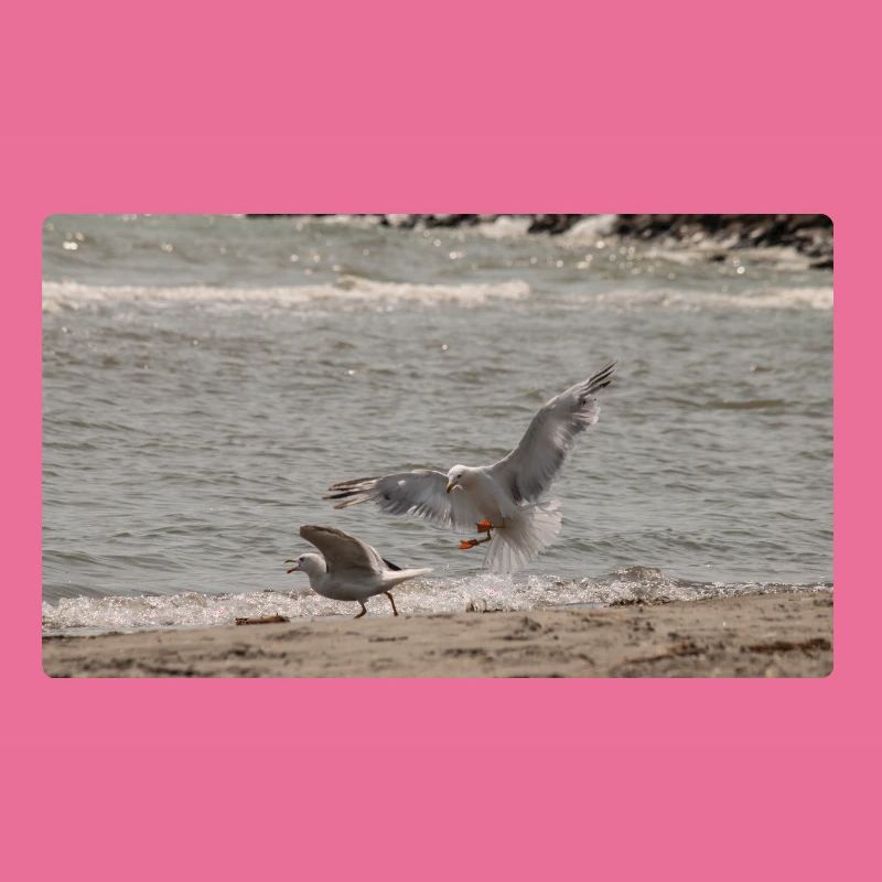 Zwischen Himmel und Meer