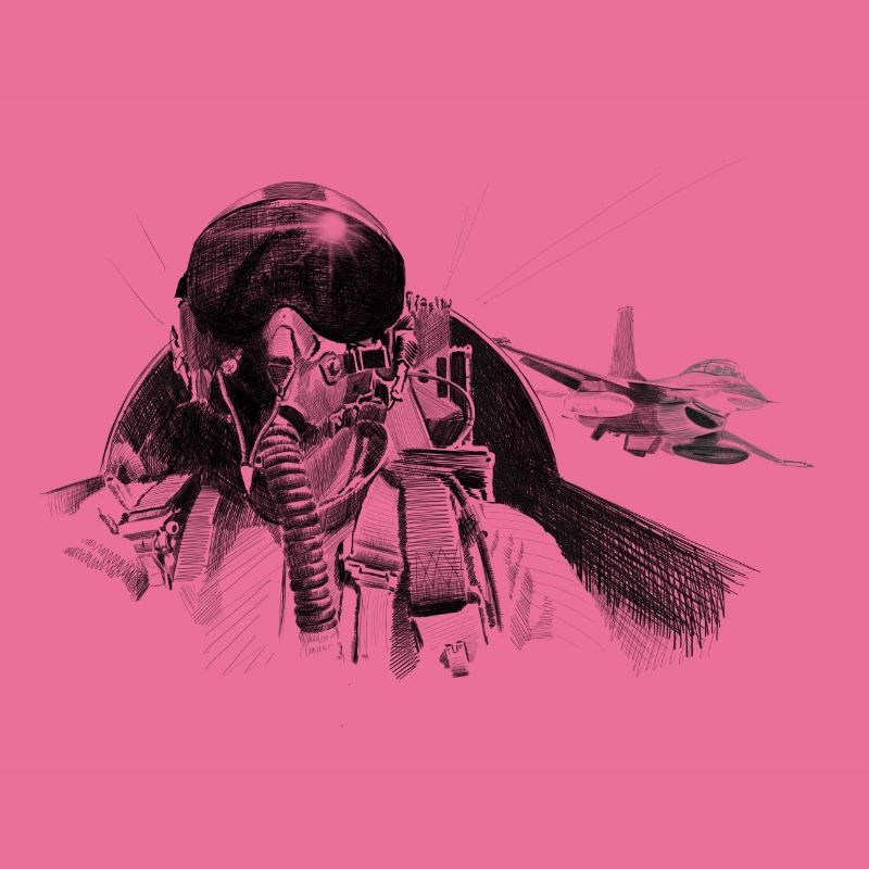 Fighter pilot