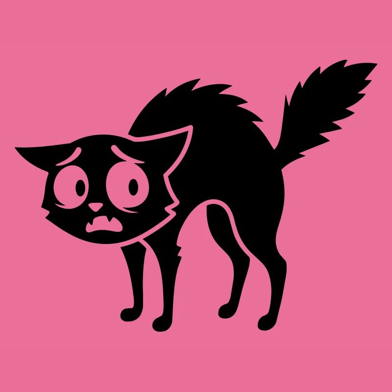 Chat effrayé