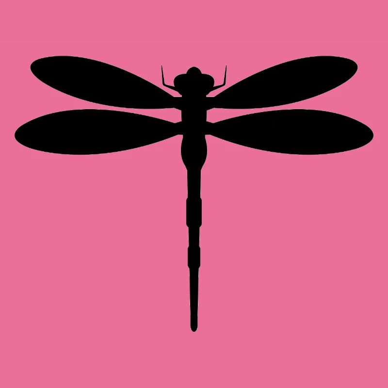 Libellule