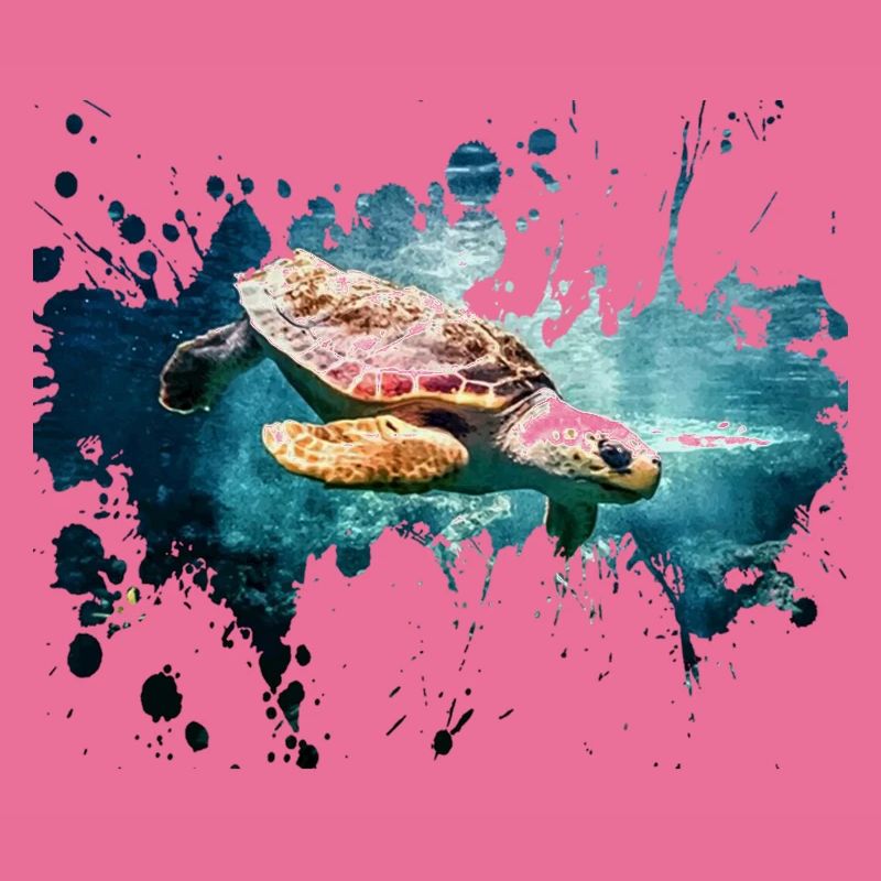 Turtle splash