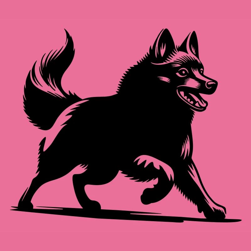 Schipperke
