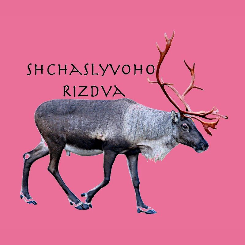 Shchaslyvoho Rizdva