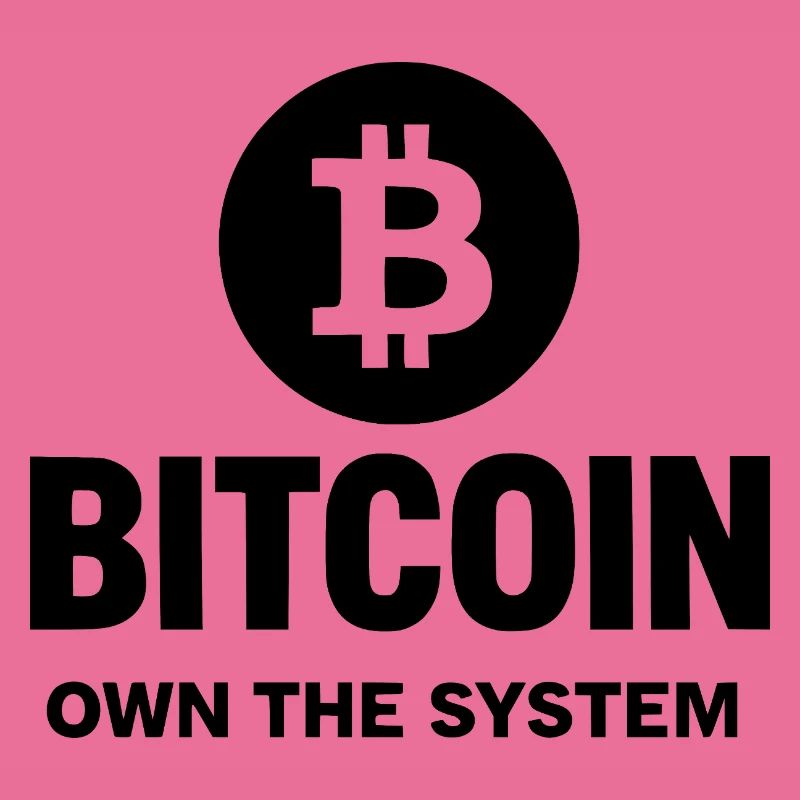 Bitcoin - Posséder le système