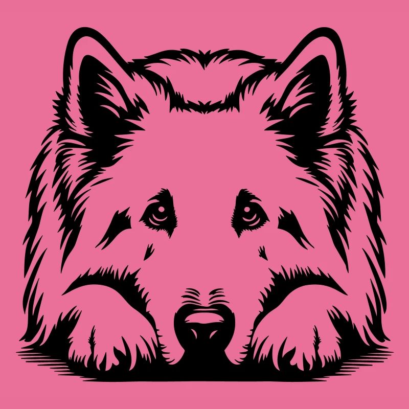 Schweizer Schäferhund