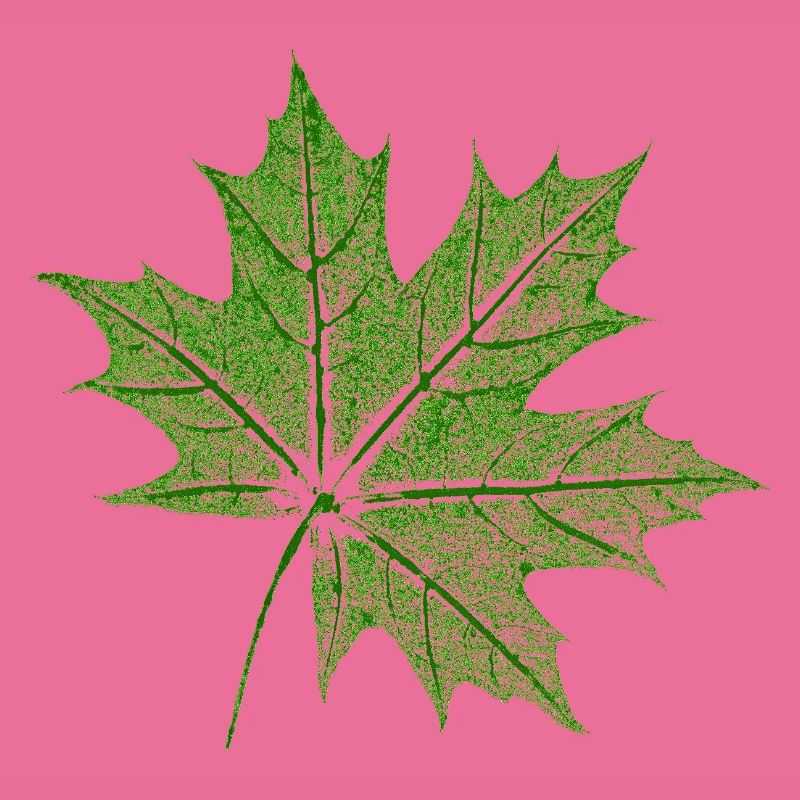 Leaf Maple / Maple Leaf