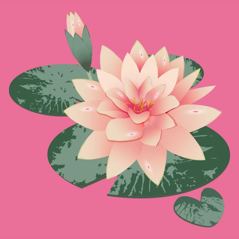 Fleur de nénuphars avec bourgeon dans l’étang de nénuphars