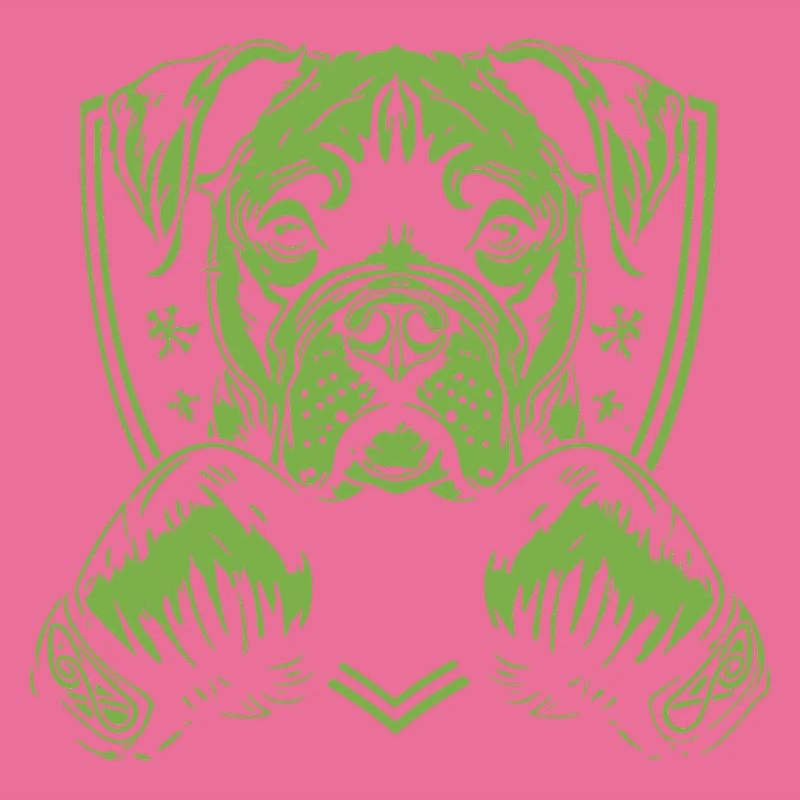 Boxer pour chien