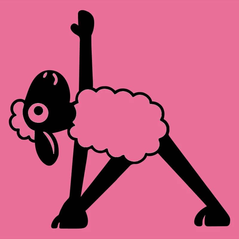 Yoga Schaf 