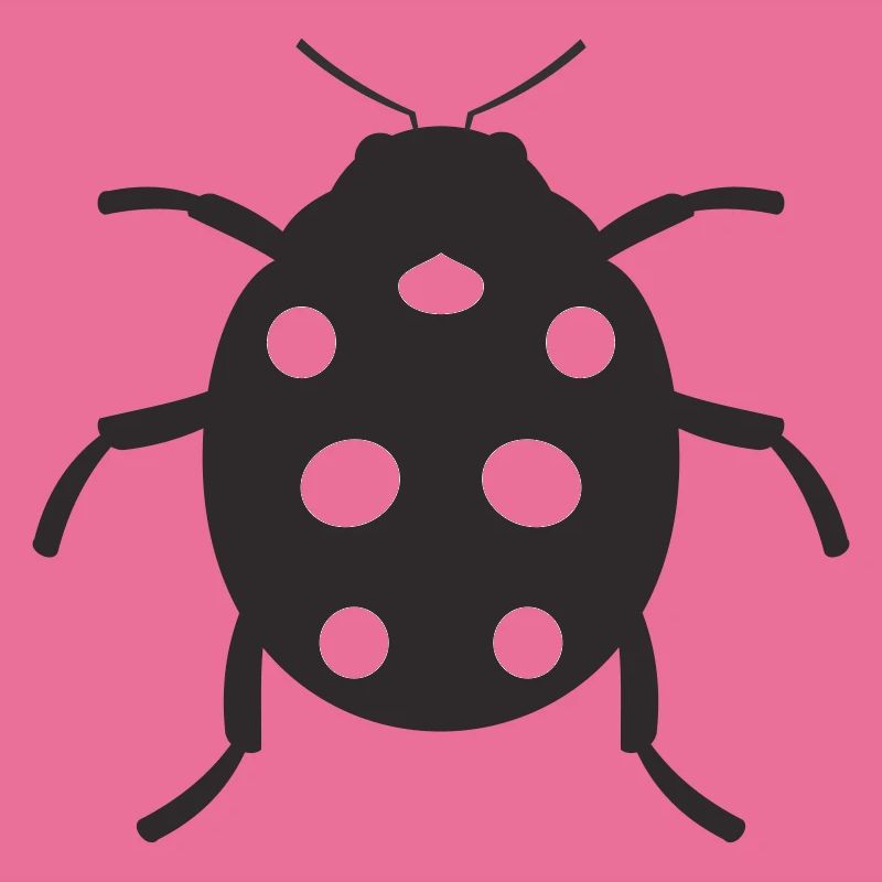 Conception de coccinelle