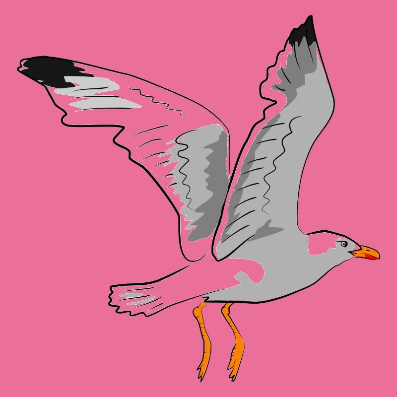 Mouette élégante en vol