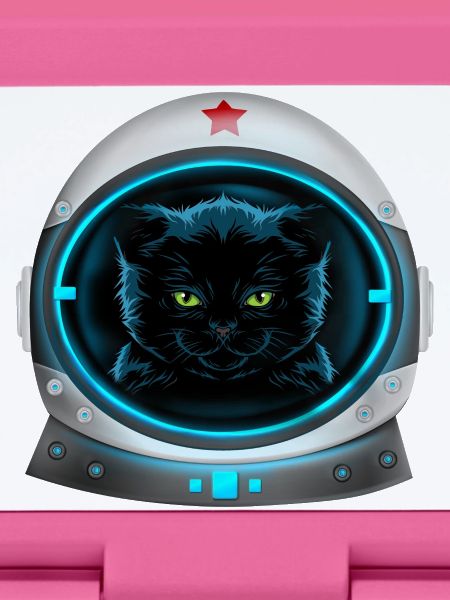 angry space cat astronaut
