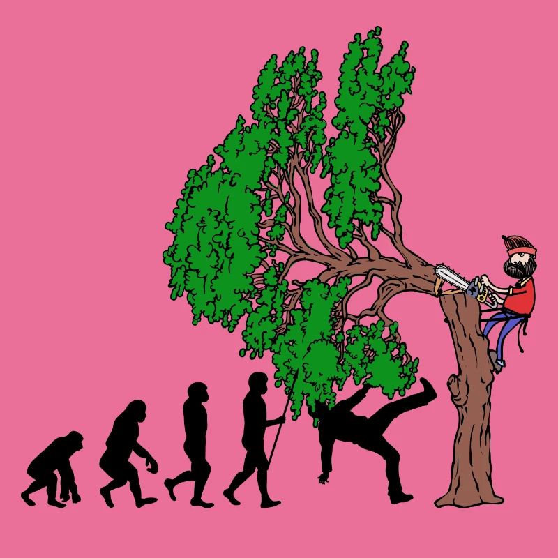 Tree Evolution Bois Bûcheron Forêt de bûcherons