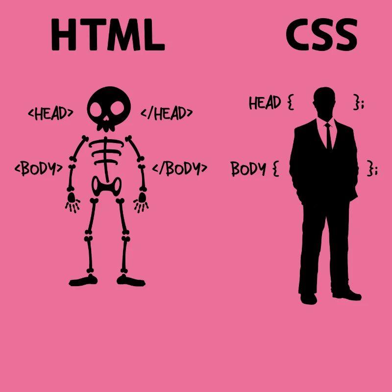 Developer Programmer Coden Css Scripting Code